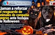 Llaman a reforzar el resguardo de animales de compa��a negros ante festejos de Halloween