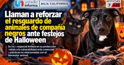 Llaman a reforzar el resguardo de animales de compa��a negros ante festejos de H