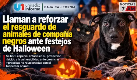 Llaman a reforzar el resguardo de animales de compa��a negros ante festejos de H