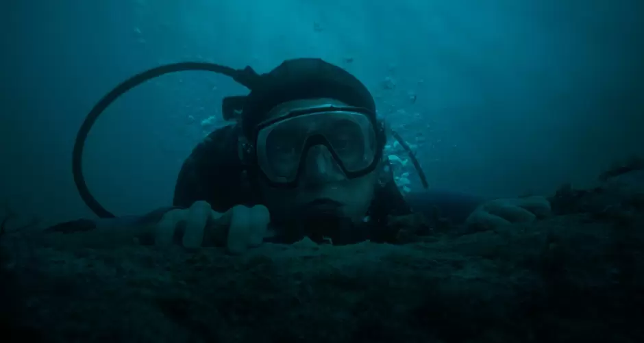 La caída de la ballena