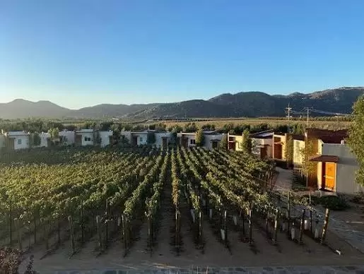 Valle de Guadalupe