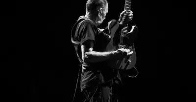 David Surkamp