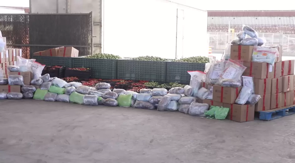 Decomisan 724 kilos de metanfetamina ocultos entre tomatillos y jalape�os en la garita de Otay Mesa