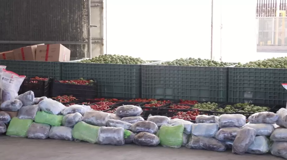 Decomisan 724 kilos de metanfetamina ocultos entre tomatillos y jalape�os en la garita de Otay Mesa