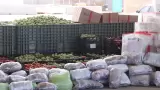 Decomisan 724 kilos de metanfetamina ocultos entre tomatillos y jalape�os en la