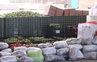 VIDEO.- Decomisan 724 kilos de metanfetamina ocultos entre tomatillos y jalape�os en la garita de Otay Mesa