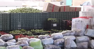 Decomisan 724 kilos de metanfetamina ocultos entre tomatillos y jalape�os en la