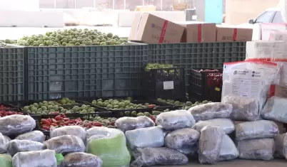 Decomisan 724 kilos de metanfetamina ocultos entre tomatillos y jalape�os en la