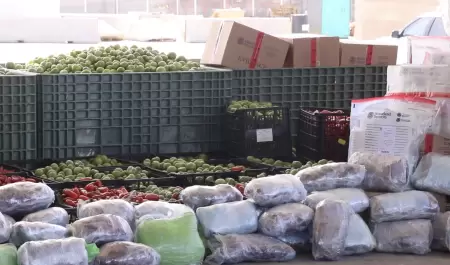 Decomisan 724 kilos de metanfetamina ocultos entre tomatillos y jalape�os en la
