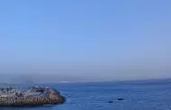 Emite Secretar�a de Medio Ambiente recomendaciones ante mala calidad del aire por fuertes vientos
