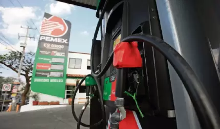 Gasolina