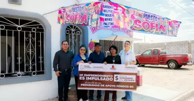 Apoyos y financiamientos para peque�as y medianas empresas en 2026