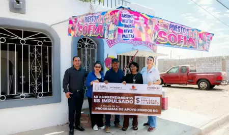 Apoyos y financiamientos para peque�as y medianas empresas en 2026