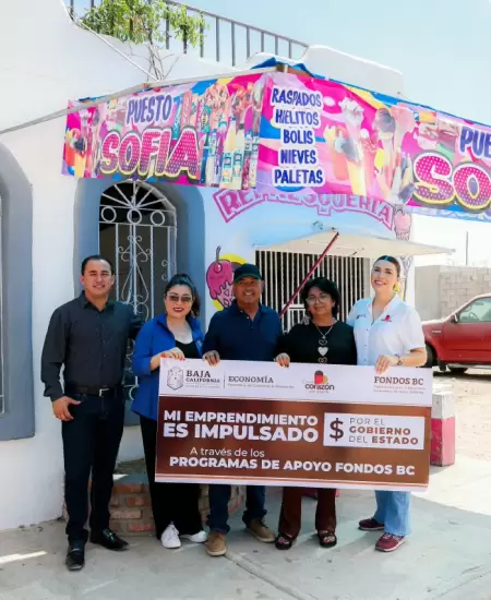 Apoyos y financiamientos para peque�as y medianas empresas en 2026