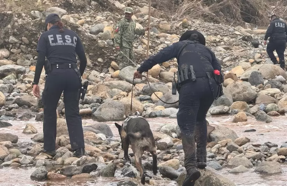 Reconoce SSCBC a polic�as y agentes caninos por apoyo tras Rachel en Ensenada