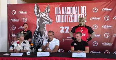 D�a Nacional del Xoloitzcuintle