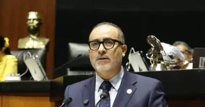 Senador por Baja California, Max Garc�a