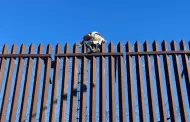 Detienen en Mexicali a hombre que intentaba cruzar el cerco fronterizo hacia Calexico