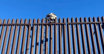 Detienen en Mexicali a hombre que intentaba cruzar el cerco fronterizo hacia Cal