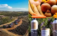 Ruta wellness entre vi�edos: cuatro experiencias que celebran las vocaciones del Valle de Guadalupe