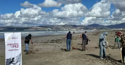 Retiran seis toneladas de basura de playas de Ensenada