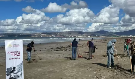 Retiran seis toneladas de basura de playas de Ensenada