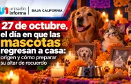 27 de octubre, el d�a en que las mascotas regresan a casa: origen y c�mo preparar su altar de recuerdo