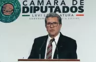 Llega a la C�mara de Diputados renuncia de Guadalupe Taddei