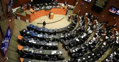 Senado