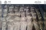 FGR y Profepa obtienen millonaria reparaci�n del da�o y sentencia condenatoria por tr�fico ilegal de vejigas natatorias de totoaba