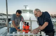 Inicia el CICESE muestreos frente a Ensenada por fen�meno de El Ni�o