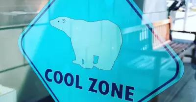 Programa Cool Zones